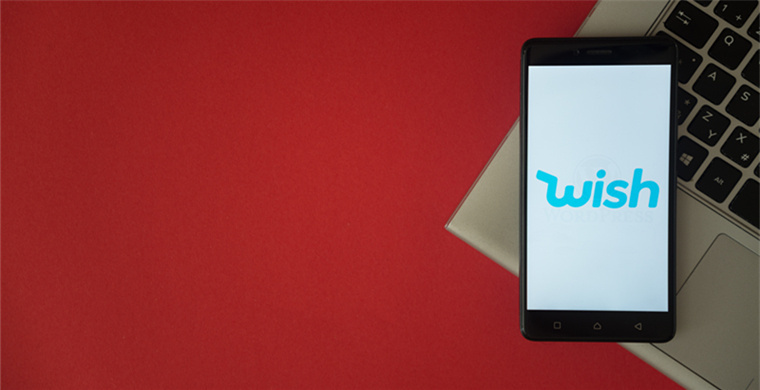 Skype customer development